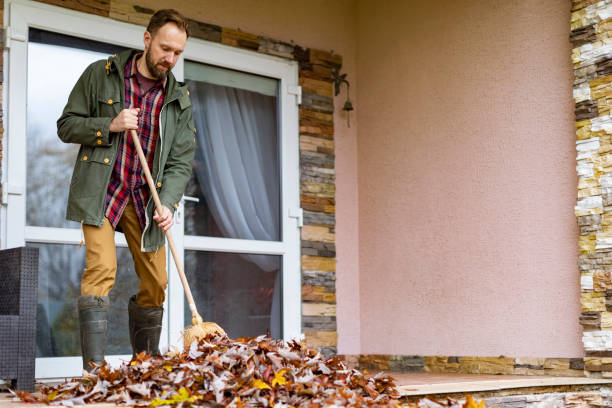 Professional Junk Removal in Petaluma, CA